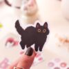 Black Cat - Imagen 2