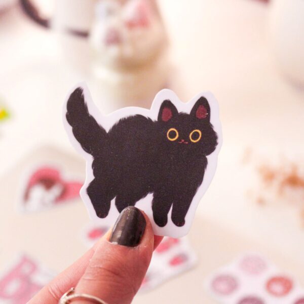 Black Cat - Imagen 2